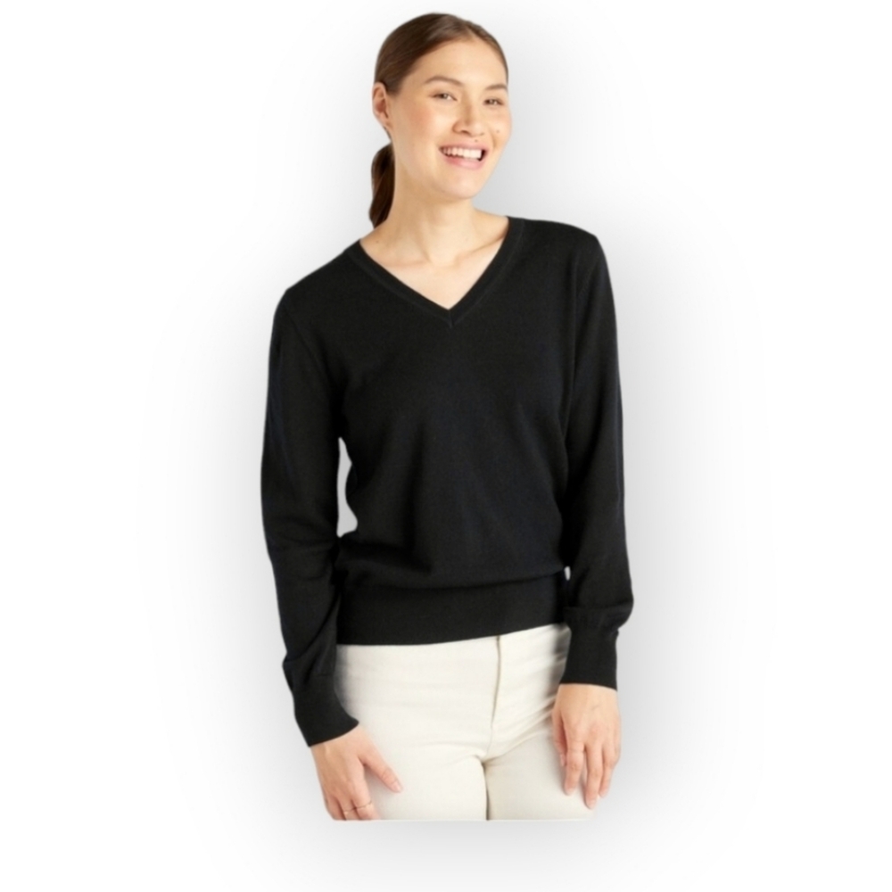 Quince Ultra Fine 100% Merino Wool V-Neck Sweater Sz M NWT